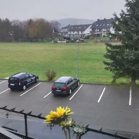 Landgasthof Zur Grunen Au *